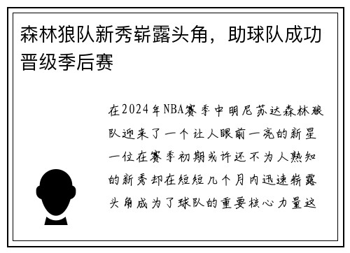 森林狼队新秀崭露头角，助球队成功晋级季后赛