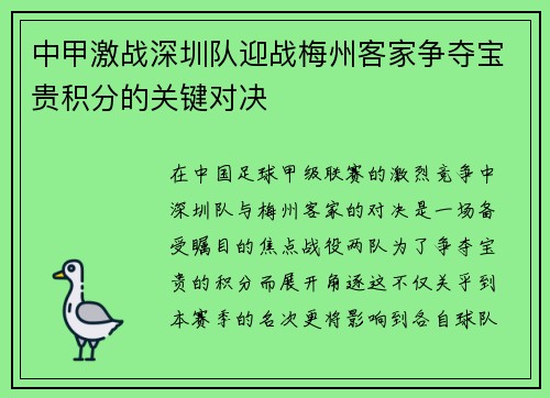 中甲激战深圳队迎战梅州客家争夺宝贵积分的关键对决